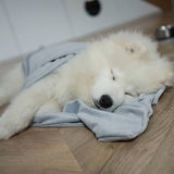 Hunde Gewichtsdecke